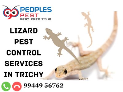 Lizard Pest Control Services in Trichy